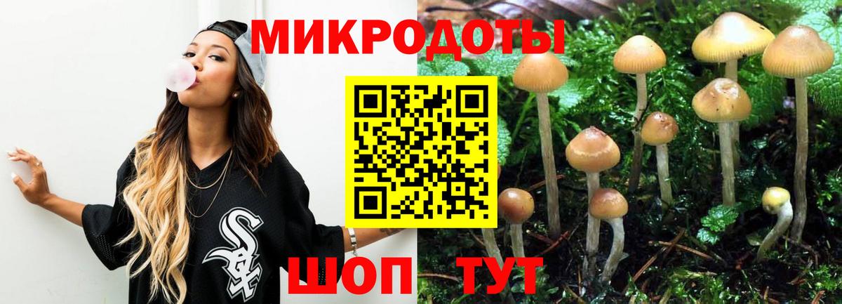 Псилоцибиновые грибы Cubensis Сатка